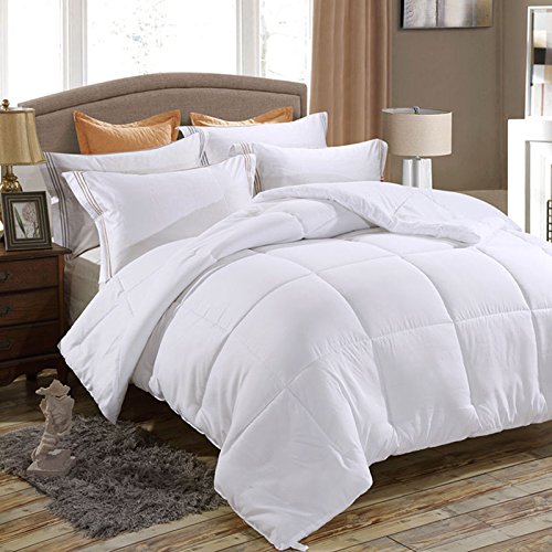 Cozynight Down Alternative Comforter Twin